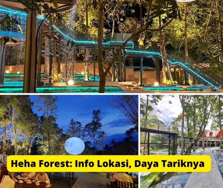 Heha Forest: Info Lokasi, Daya Tarik dan Harga Tiket Masuk