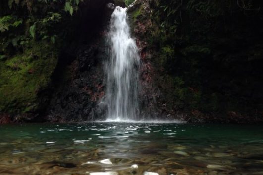 Paket Trekking Curug Pangeran, Cek Sekarang Yuk!