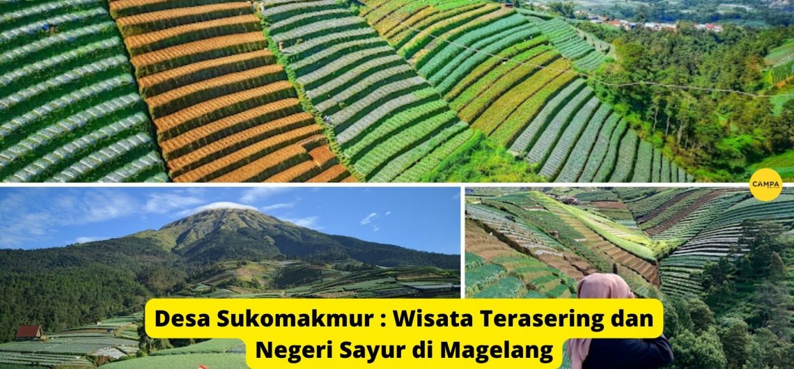 Desa Sukomakmur : Wisata Terasering dan Negeri Sayur di Magelang