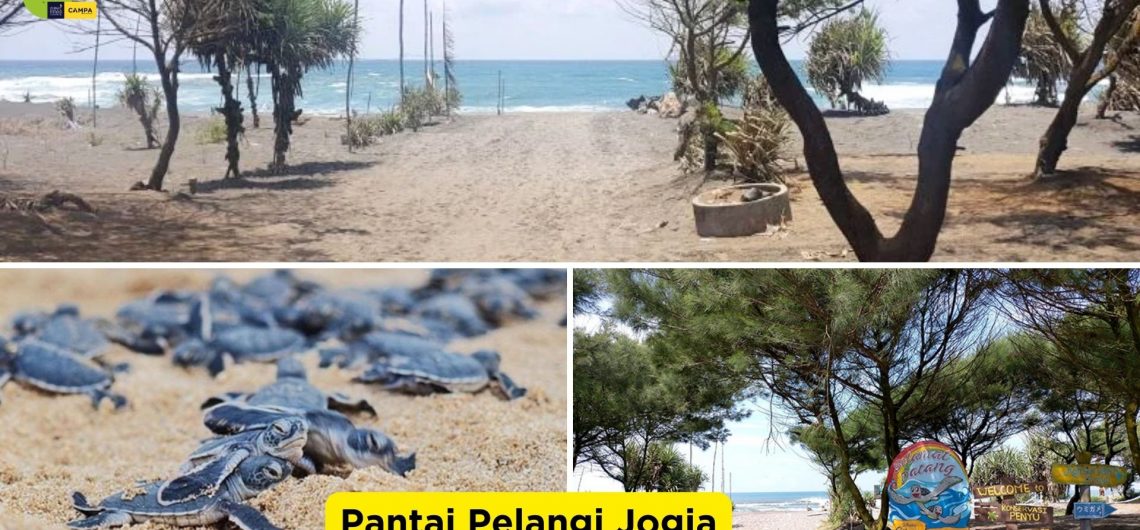 Pantai Pelangi Jogja: Wisata Eksotis dengan Daya Tarik Luar Biasa