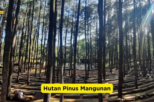 Ini Dia Daftar Tempat Prewedding Jogja Viral 2025