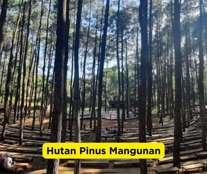 Ini Dia Daftar Tempat Prewedding Jogja Viral 2025