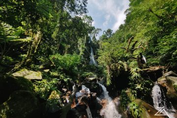 Trekking Curug CIkaracak Cinagara__Campatour