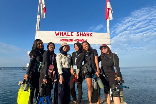 Paket Sehari Foto Drone Whale Shark Gorontalo