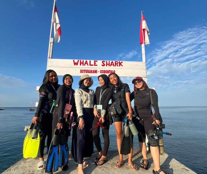 Paket Sehari Foto Drone Whale Shark Gorontalo