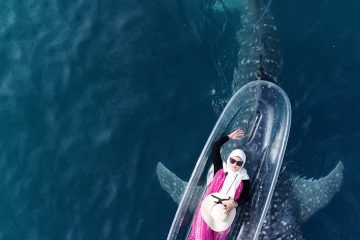 Paket Sehari Foto Drone Whale Shark Gorontalo