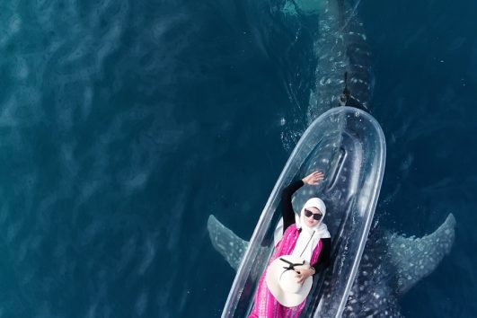 Paket Sehari Foto Drone Whale Shark Gorontalo