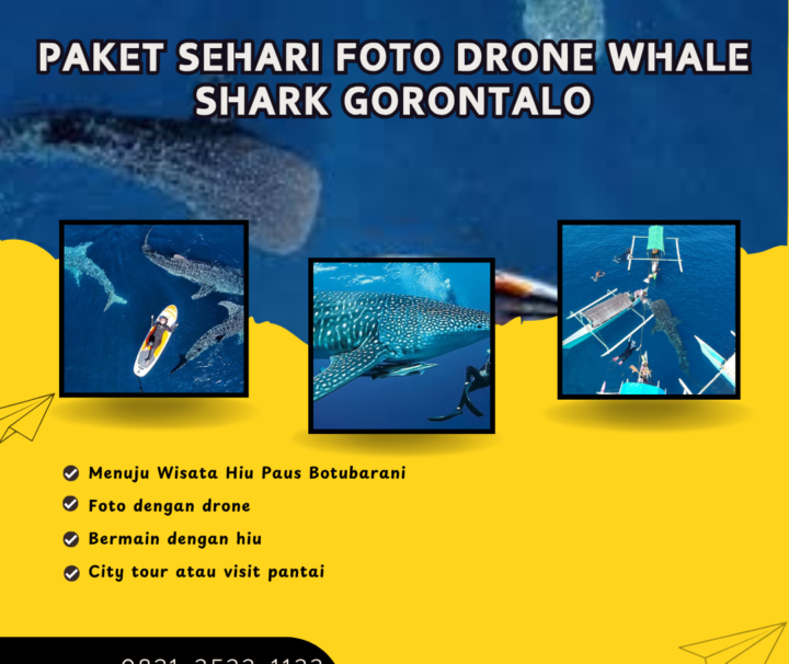 Paket Sehari Foto Drone Whale Shark Gorontalo