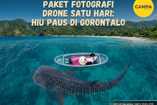 Paket Sehari Foto Drone Whale Shark Gorontalo bersama Campa Tour