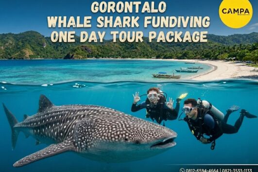 Paket Tour Sehari FunDiving Whale Shark Gorontalo