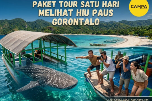 Paket Tour Sehari Melihat Whale Shark Gorontalo bersama Campa Tour