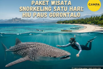 Paket Tour Sehari Snorkelling Whale Shark Gorontalo bersama Campa Tour (2)