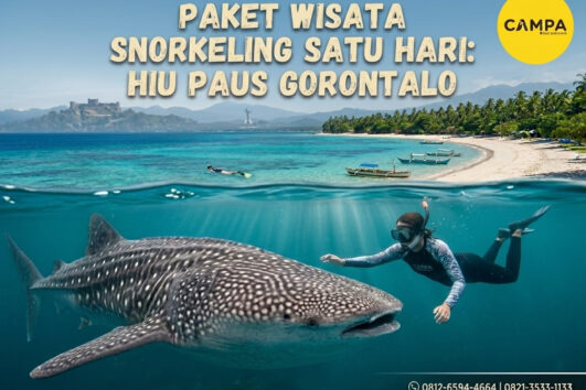Paket Tour Sehari Snorkelling Whale Shark Gorontalo bersama Campa Tour (2)