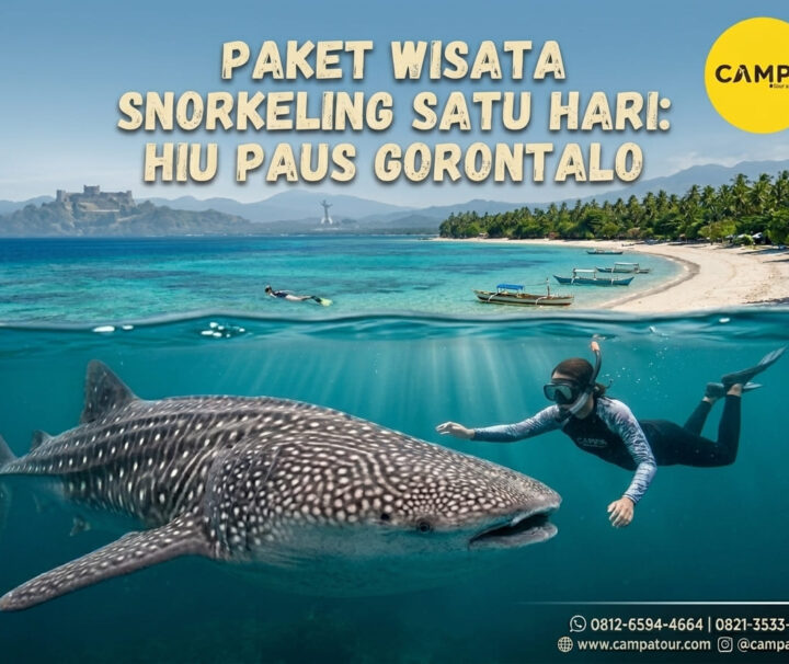 Paket Tour Sehari Snorkelling Whale Shark Gorontalo bersama Campa Tour (2)