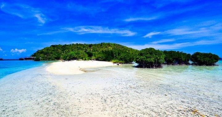 Paket Tour Way Kambas dan Pulau Wayang 2 Hari 1 Malam (2H1M)