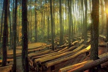 Paket Tour Keluarga Jogja 3 Hari 2 Malam (3H2M) Hemat ~1