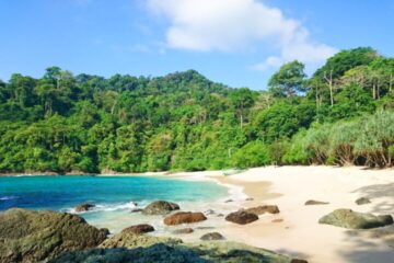 Paket Tour Banyuwangi 1 Hari (Pulau Merah dan Teluk Hijau)