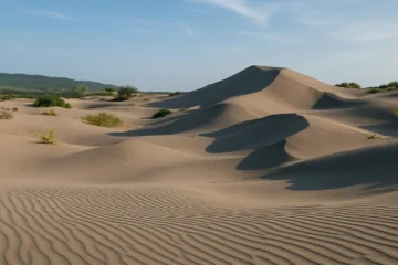 Paket Trip Jogja 1 Hari: Gumuk Pasir, Pantai Cemara sewu, dan Obelix Sea View