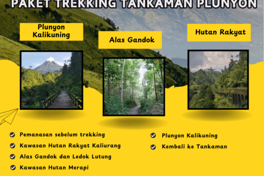 Paket Trekking Tankaman Plunyon