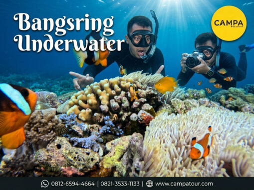 Bangsring Underwater Banyuwangi - Paket Wisata Banyuwangi bersama Campa Tour
