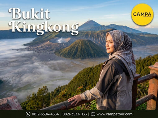 Bukit Kingkong - Paket Tour Bromo bersama Campa Tour - Trip Bromo