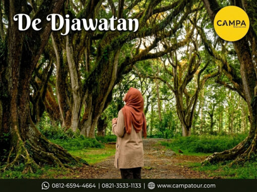 De Djawatan - paket wisata Banyuwangi bersama Campa Tour