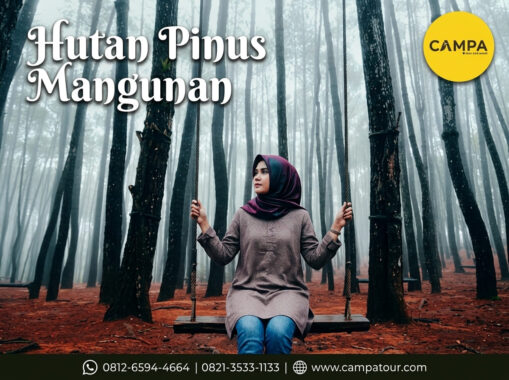 Hutan Pinus Mangunan - Paket Wisata Jogja bersama Campa Tour