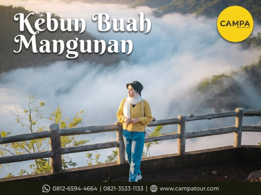 Kebun Buah Mangunan - Paket Wisata Jogja bersama Campa Tour