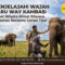 Menjelajahi Wajah Baru Way Kambas - Paket Wisata Minat Khusus Terbatas Bersama Campa Tour (1) (1)