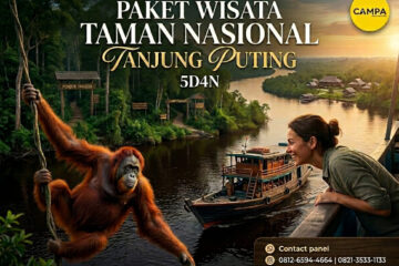 PAKET TOUR TAMAN NASIONAL TANJUNG PUTING 5H4M - CAMPA TOUR