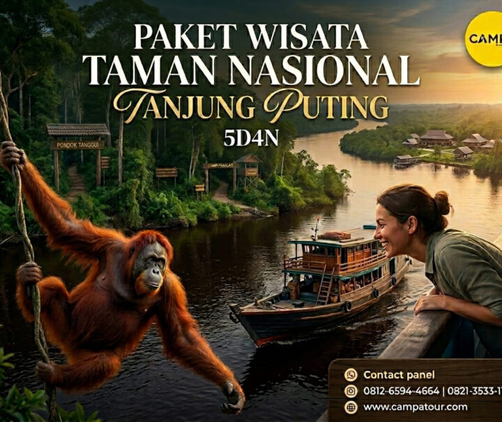 PAKET TOUR TAMAN NASIONAL TANJUNG PUTING 5H4M - CAMPA TOUR