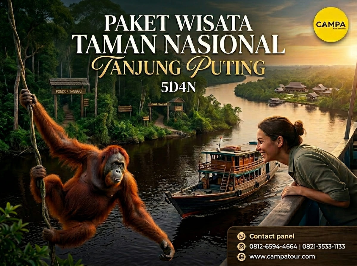 PAKET TOUR TAMAN NASIONAL TANJUNG PUTING 5H4M - CAMPA TOUR