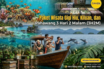 Paket Tour Gigi Hiu, Kiluan dan Pahawang 3 Hari 2 Malam (3H2M)