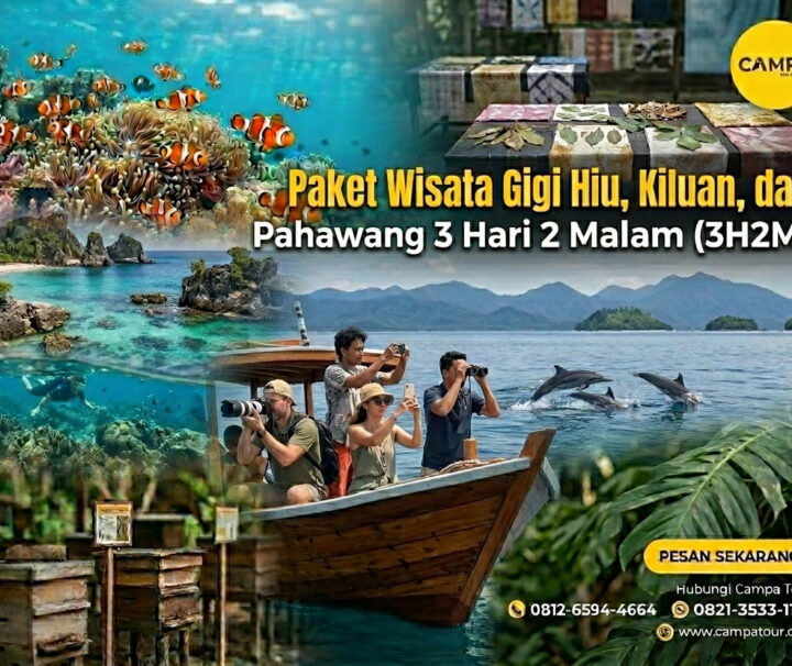Paket Tour Gigi Hiu, Kiluan dan Pahawang 3 Hari 2 Malam (3H2M)