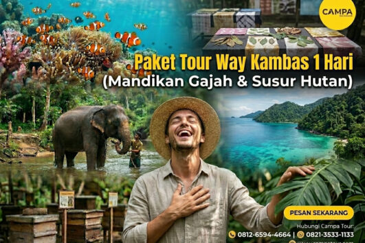 Paket Tour Way Kambas 1 Hari (Elephant Bathing & Jungle Tracking)