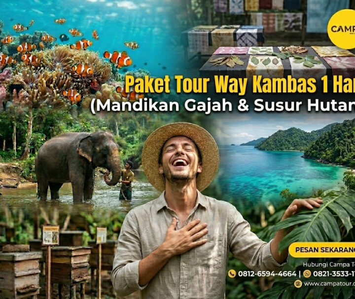 Paket Tour Way Kambas 1 Hari (Elephant Bathing & Jungle Tracking)