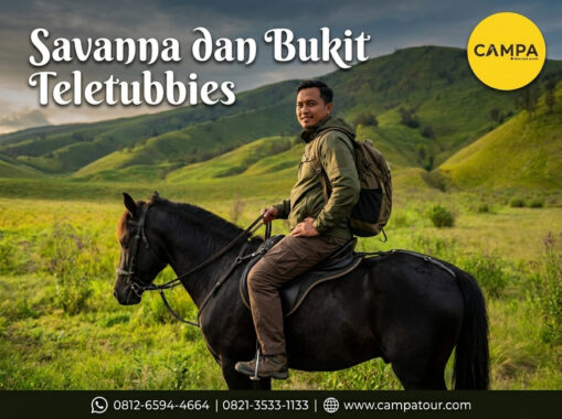 Savanna dan Bukit Teletubbies - Paket Tour Bromo bersama Campa Tour - Trip Bromo