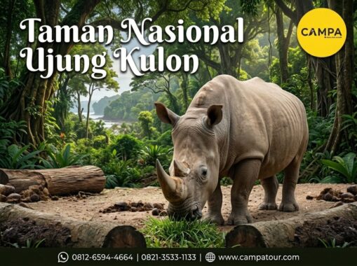 Taman Nasional Ujung Kulon - Paket Tour WIsata Banten bersama Campa Tour