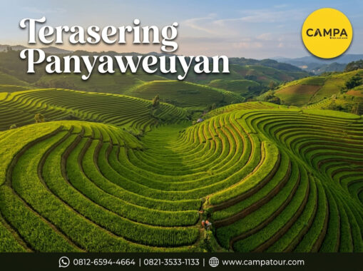 Terasering Panyaweuyan - Tour Majalengka - Campa Tour