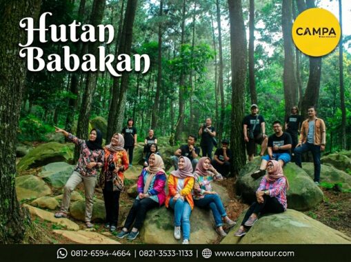Trekking Hutan Babakan - Trekking Sentul bersama Campa Tour