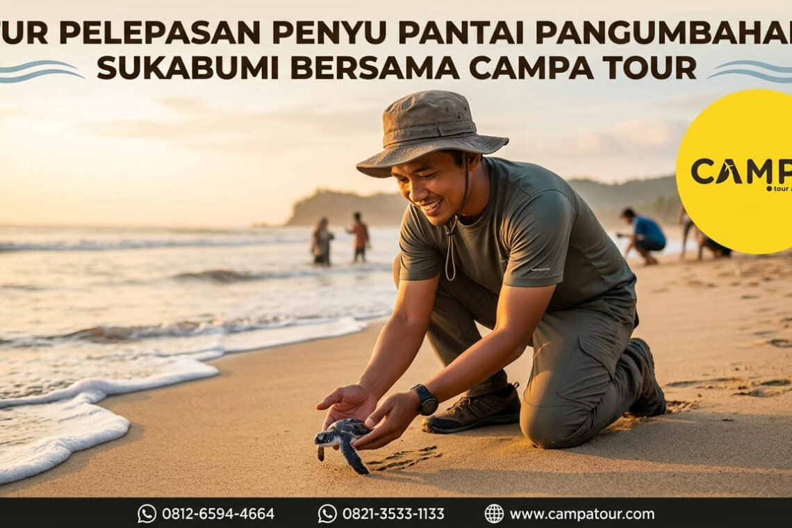 Wisata Tour Pelepasan Tukik Pantai Pangumbahan Sukabumi bersama Campa Tour