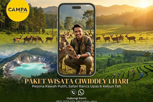 Paket Tour Ciwidey 1 Hari Kawah Putih, Ranca Upas dan Kebun Teh Rancabali_Campa Tour (2)