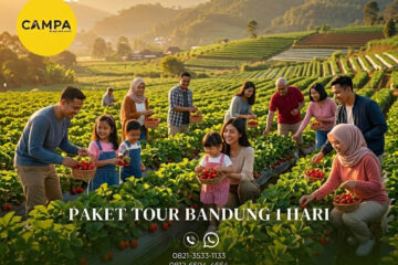 Paket Tour Bandung 1 Hari: Kawah Putih Ciwidey, Kebun The Rancabali Lake Side, Kampung Cai Ranca Upas Dan Petik Strawberry Ciwidey bersama Campa Tour