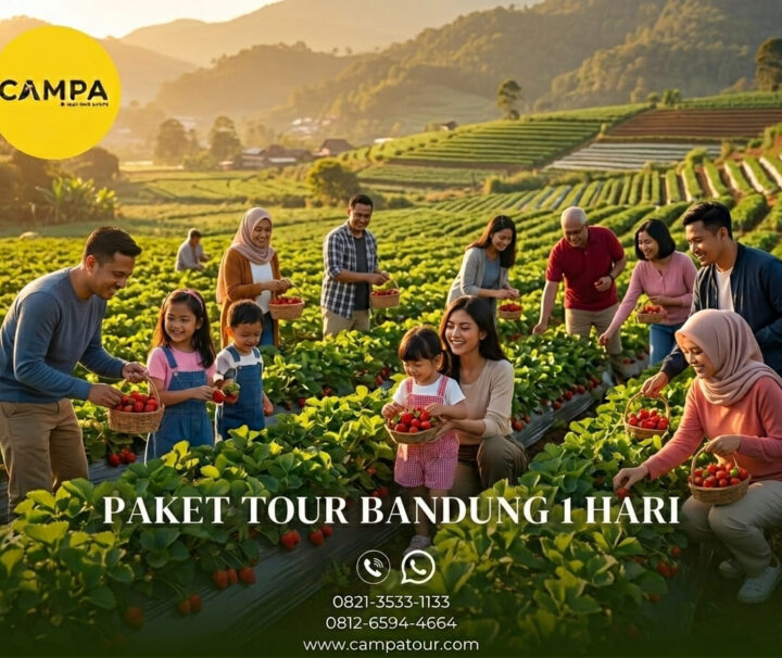 Paket Tour Bandung 1 Hari: Kawah Putih Ciwidey, Kebun The Rancabali Lake Side, Kampung Cai Ranca Upas Dan Petik Strawberry Ciwidey bersama Campa Tour
