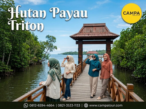 Hutan Payau Triton - Paket Tour Wisata Cilacap bersama Campa Tour