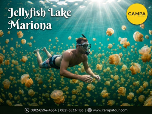 Jellyfish Lake Mariona - Paket Tour Wisata Togean bersama Campa Tour