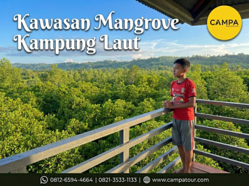 Kawasan Mangrove Kampung Laut - Paket Tour Wisata Cilacap bersama Campa Tour
