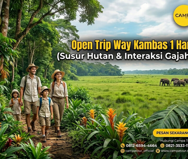 Open Trip Way Kambas (Jungle Tracking dan Interaksi dengan Gajah) 1 Hari bersama Campa Tour (1)