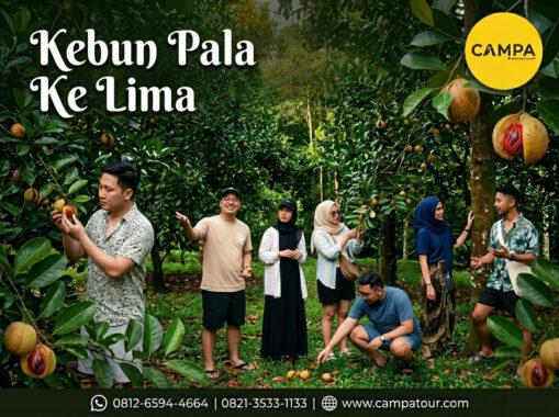 Perkebunan Pala Ke Lima dalam paket Tour Banda Neira bersama Campa Tour