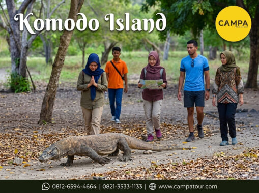 Pulau Komodo - paket Tour Wisata Flores bersama Campa Tour